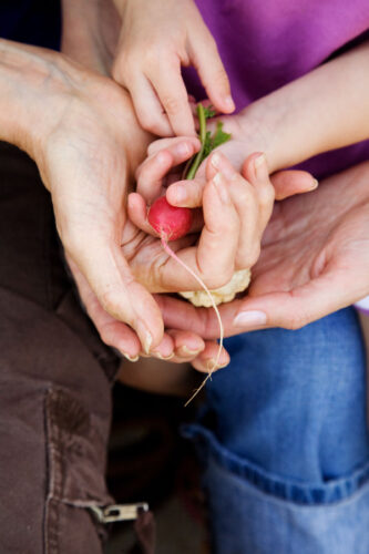 Local Food: Transforming Our Food System